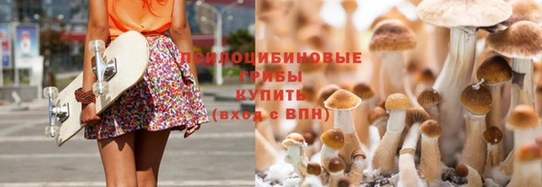 стаф Бугульма