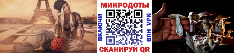 MEGA зеркало  Гороховец  Псилоцибиновые грибы мухоморы  наркотики 